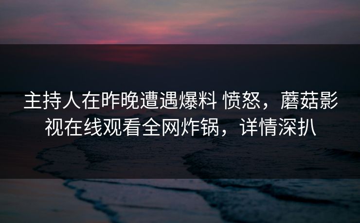 主持人在昨晚遭遇爆料 愤怒，蘑菇影视在线观看全网炸锅，详情深扒