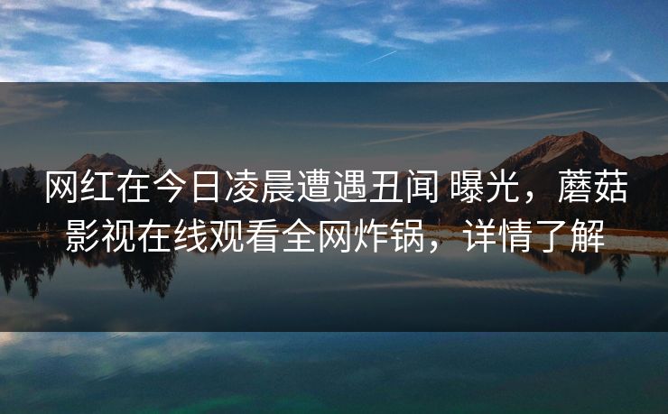 网红在今日凌晨遭遇丑闻 曝光，蘑菇影视在线观看全网炸锅，详情了解