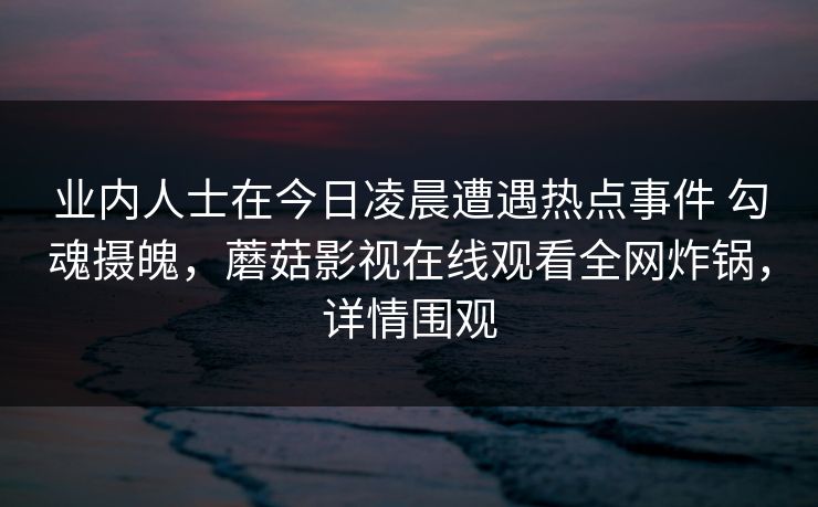业内人士在今日凌晨遭遇热点事件 勾魂摄魄，蘑菇影视在线观看全网炸锅，详情围观