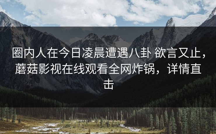 圈内人在今日凌晨遭遇八卦 欲言又止，蘑菇影视在线观看全网炸锅，详情直击