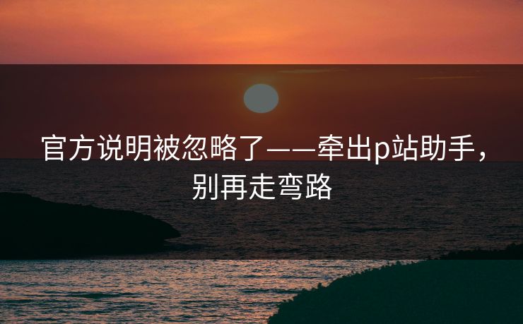 官方说明被忽略了——牵出p站助手，别再走弯路
