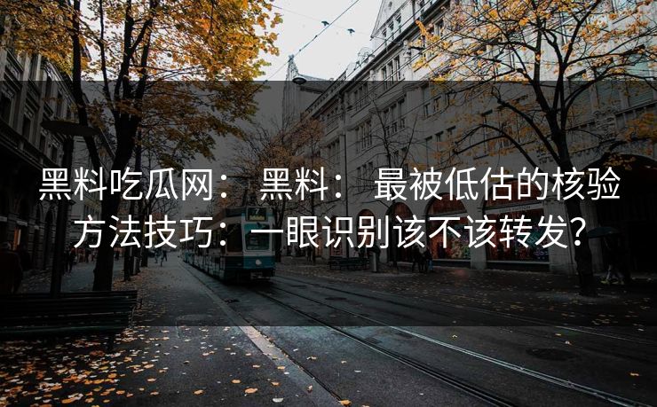 黑料吃瓜网： 黑料： 最被低估的核验方法技巧：一眼识别该不该转发？